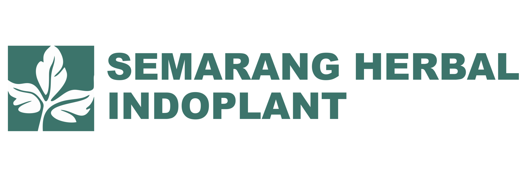 PT. Semarang Herbal Indoplant