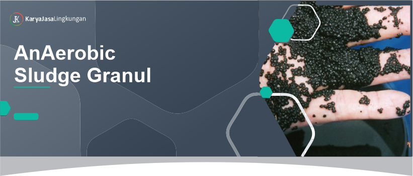 AnAerobic Sludge Granul