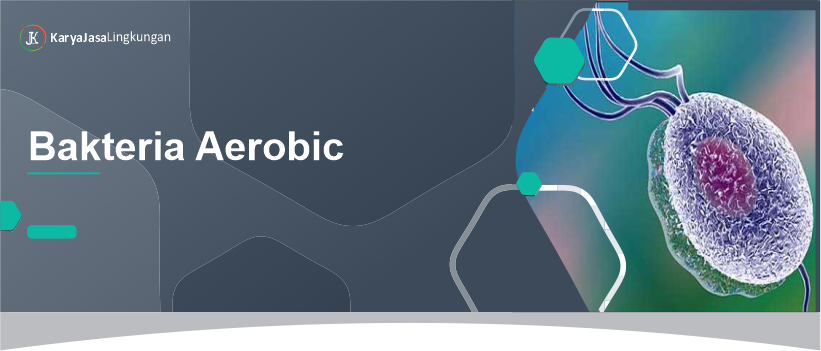 Bakteria Aerobic