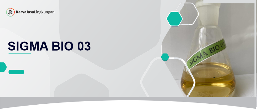 Sigma Bio 03
